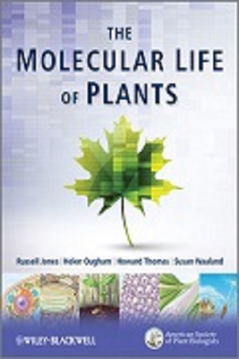    Molecular