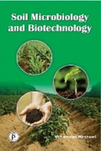    Soil